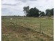 Lot 11 Alkira Lane, Parkes NSW 2870