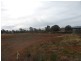 Lot 30 Hydrangea Ave, Parkes NSW 2870