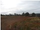 Lot 30 Hydrangea Ave, Parkes NSW 2870