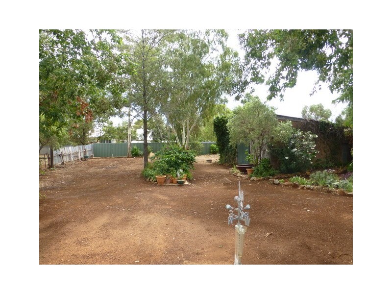 156 Caswell Street, Peak Hill NSW 2869