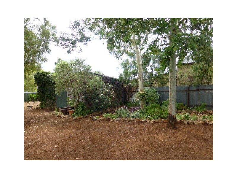 156 Caswell Street, Peak Hill NSW 2869