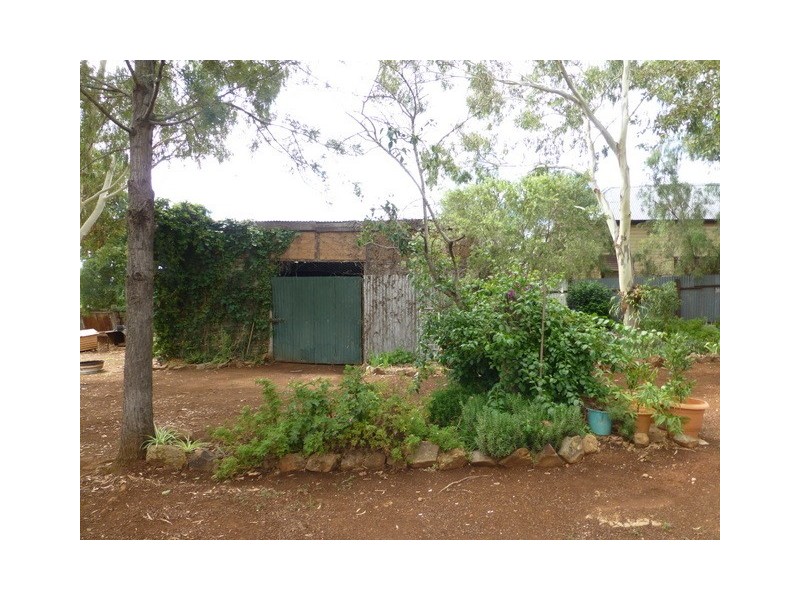 156 Caswell Street, Peak Hill NSW 2869