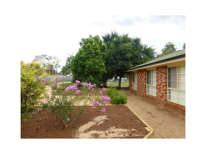 156 Caswell Street, Peak Hill NSW 2869