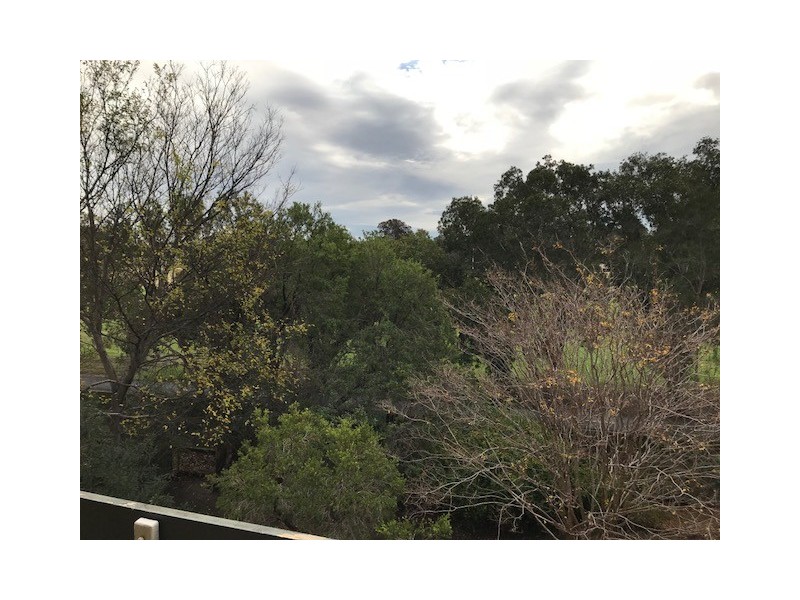 34/24-26 Meadow Crescent, Meadowbank NSW 2114