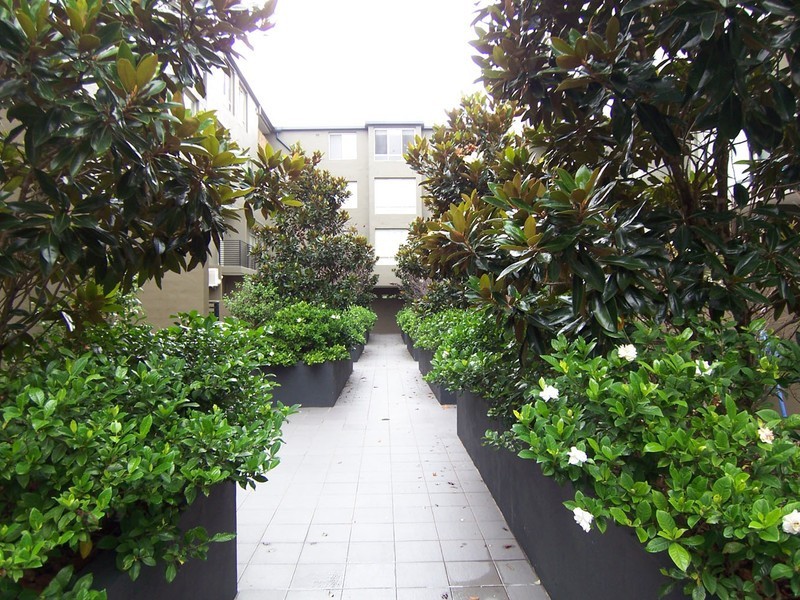 17/20 Herbert Street, West Ryde NSW 2114