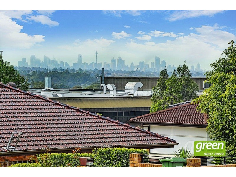 6 Hughes Avenue, Ermington NSW 2115