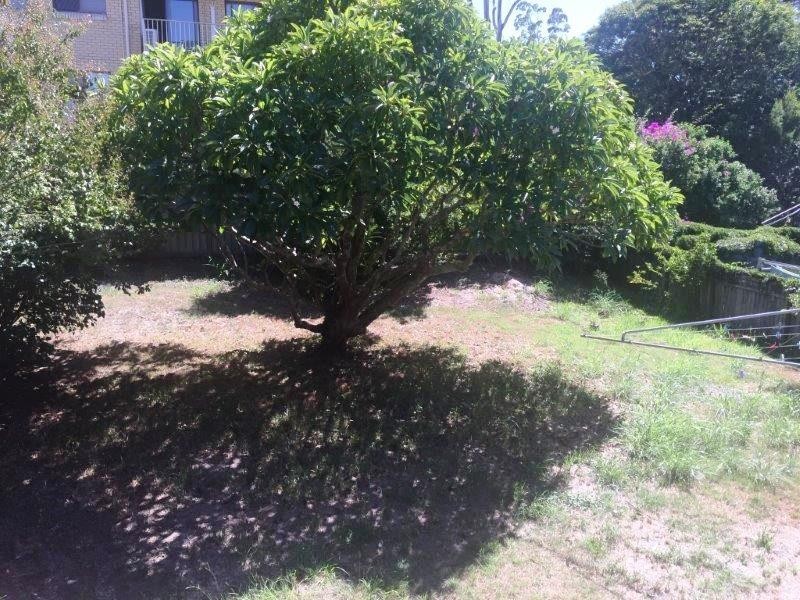 131 Samford Road, Enoggera QLD 4051