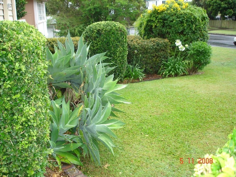 44 Forrest Street, Everton Park QLD 4053