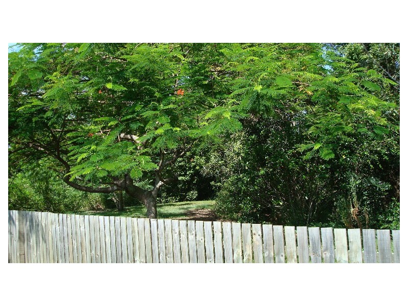 10 Kingfisher Street, Albany Creek QLD 4035