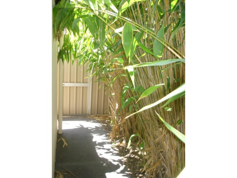 100 Griffith Street, Everton Park QLD 4053