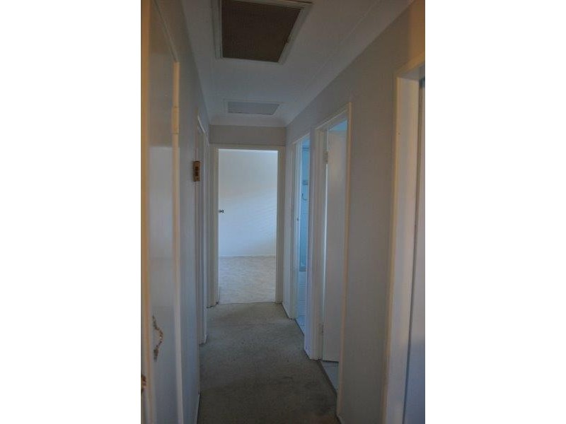 79 Elkhorn Street, Enoggera QLD 4051