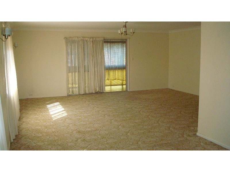 37  Dargie Street, Everton Park QLD 4053