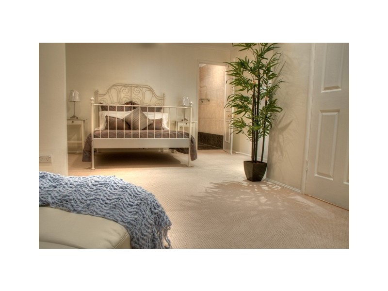 14 Dargie Street, Everton Park QLD 4053