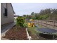 24 Quandong Crescent, Arana Hills QLD 4054