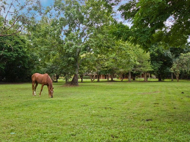 307  Albany Creek Road, Bridgeman Downs QLD 4035