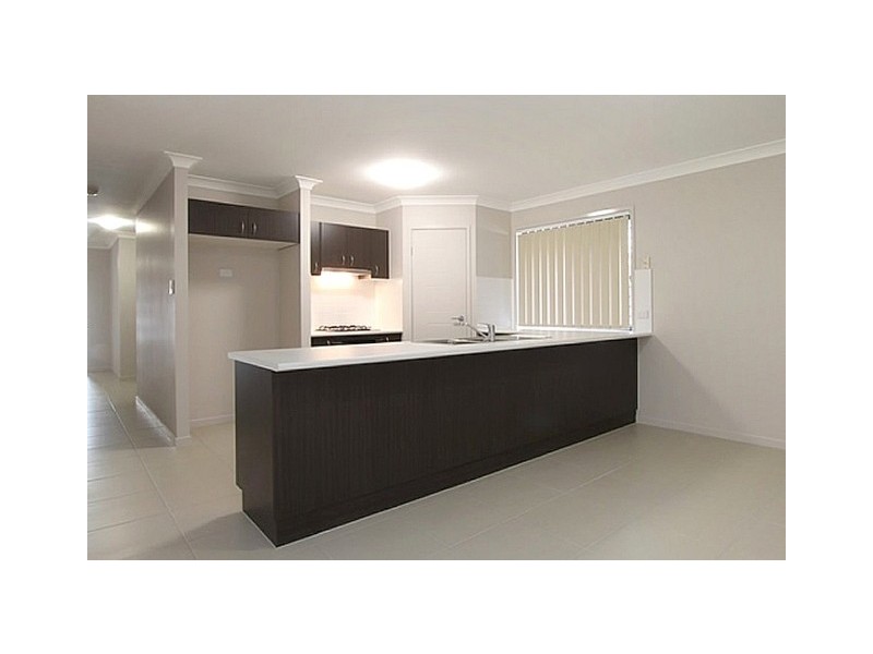 17 Wallin Street, Kedron QLD 4031