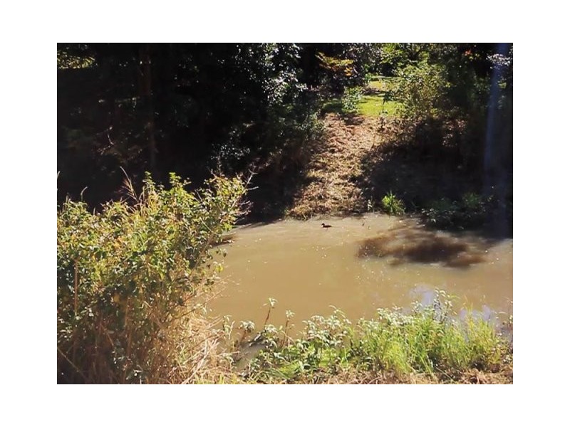 9 Carson Drive, Bunya QLD 4055