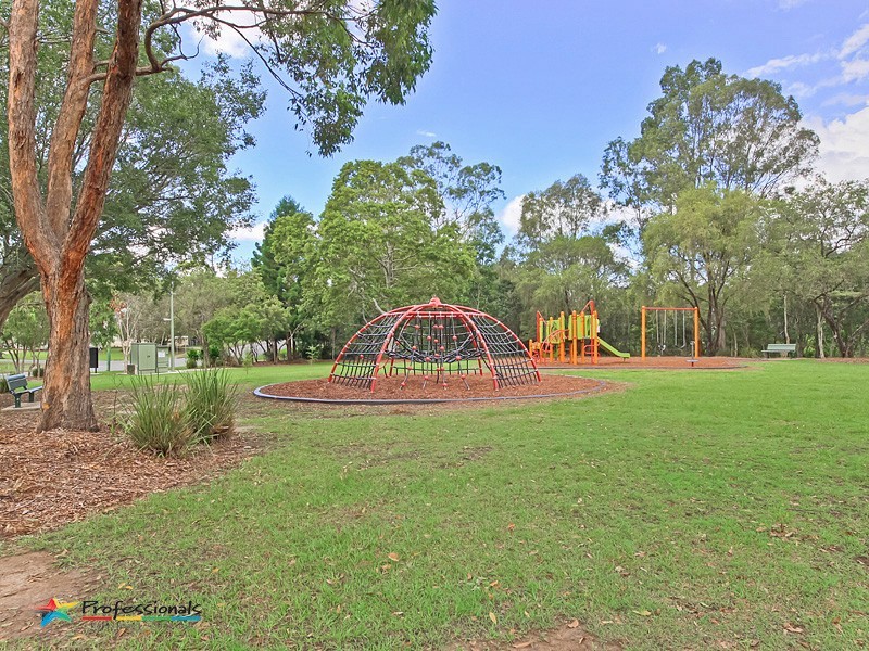 6 Galeola Street, Everton Hills QLD 4053