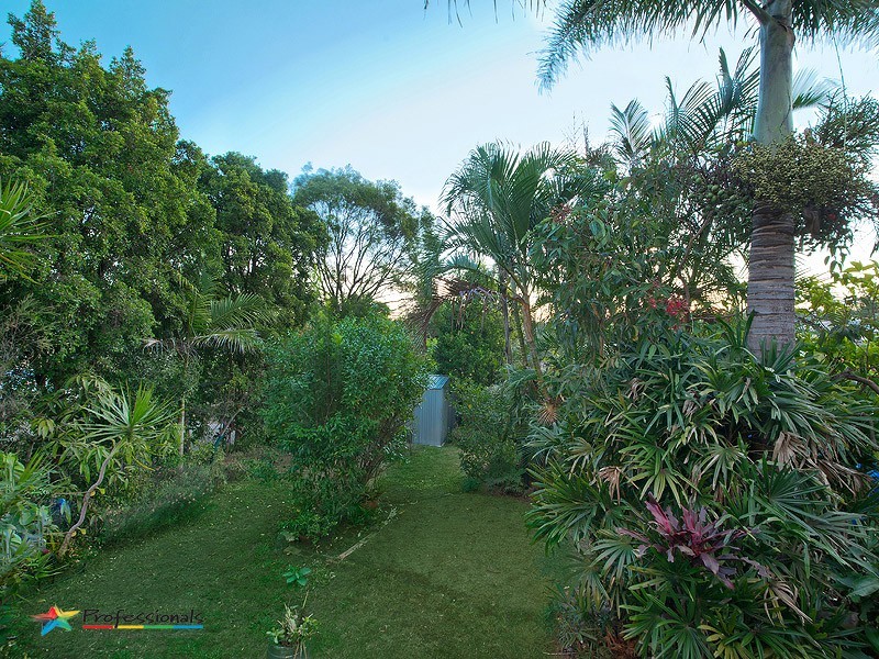 74 Cutbush Road, Everton Park QLD 4053
