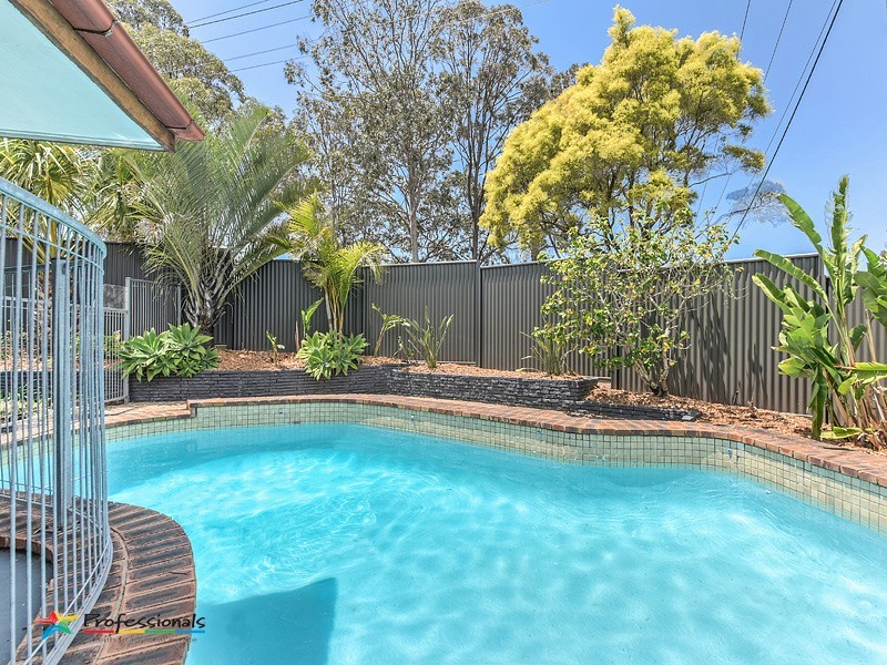 2 Pinnata Court, Everton Hills QLD 4053
