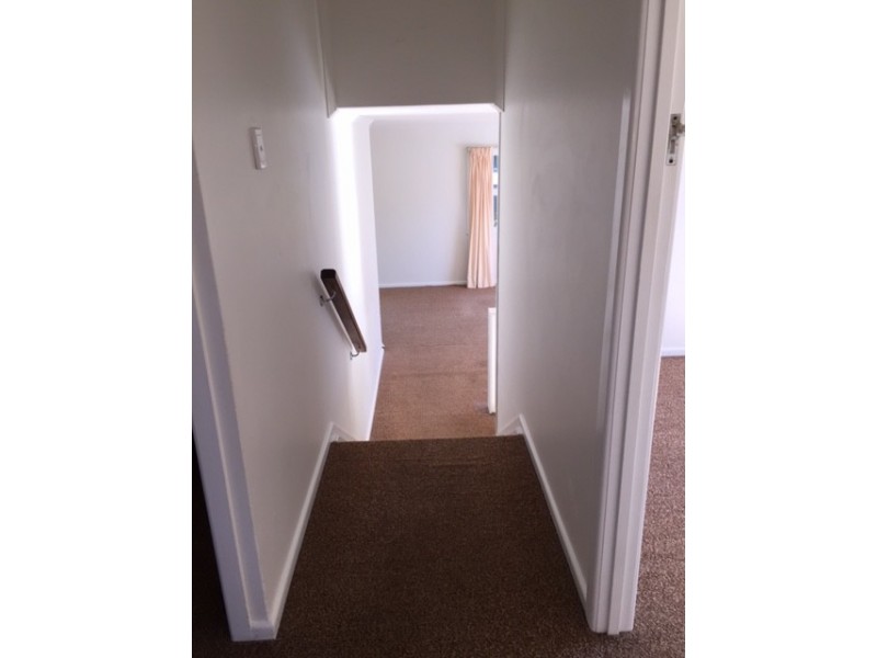 17 Euratha Street, Stafford Heights QLD 4053