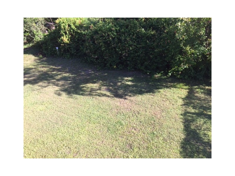 79 Felstead Street, Everton Park QLD 4053