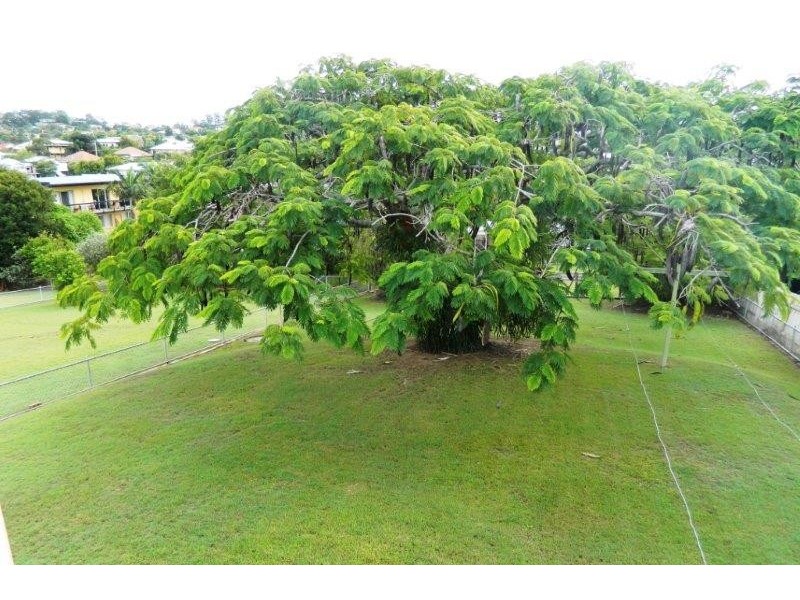 113 Haig Street, Stafford QLD 4053