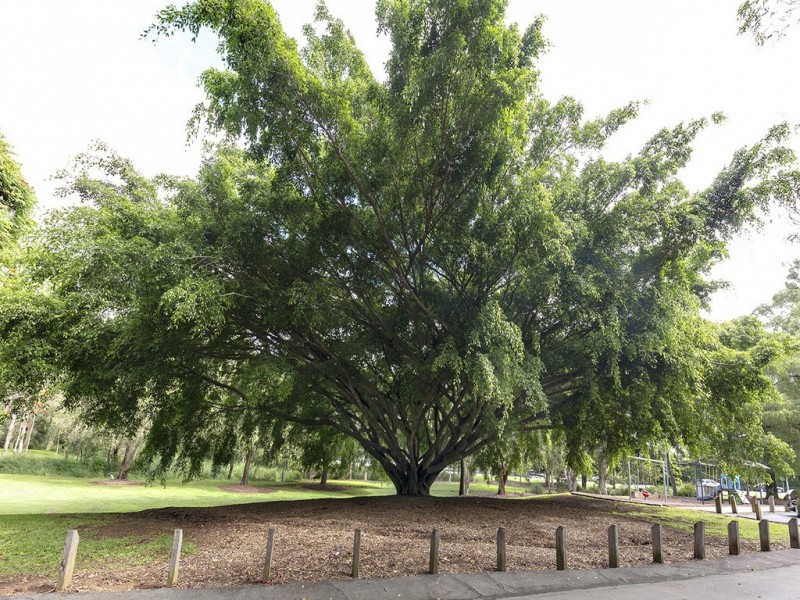 2/19 Adam Court, Kallangur QLD 4503