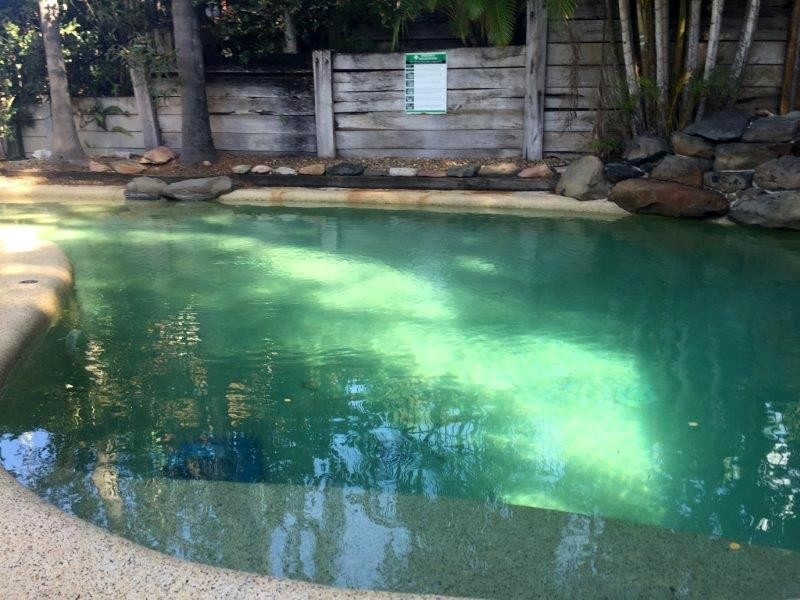 12 Wallara Street, Balmoral QLD 4171