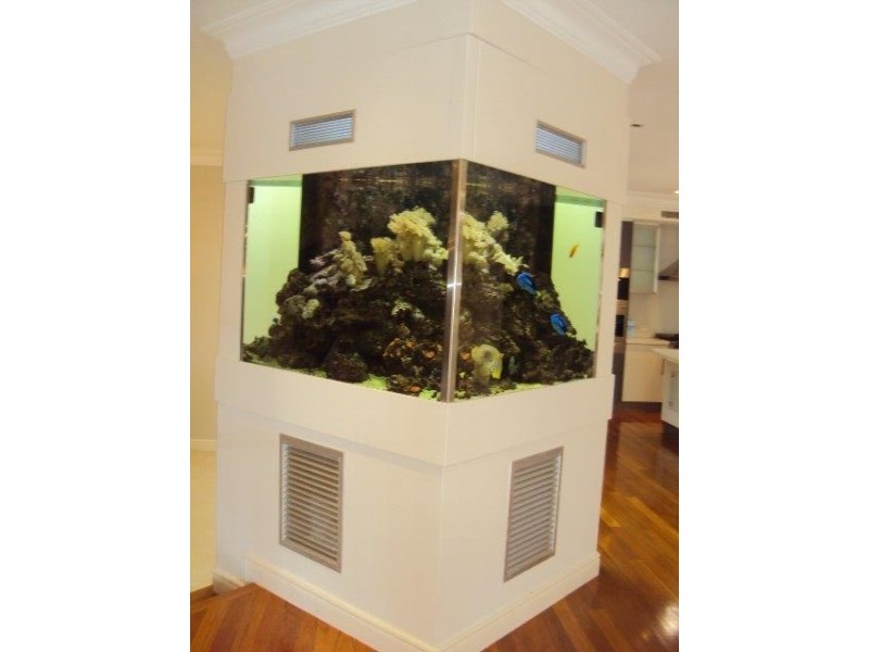 38 Ridley Road, Bridgeman Downs QLD 4035