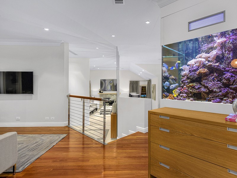 38 Ridley Road, Bridgeman Downs QLD 4035