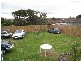 121 Ann Street, Dandenong VIC 3175