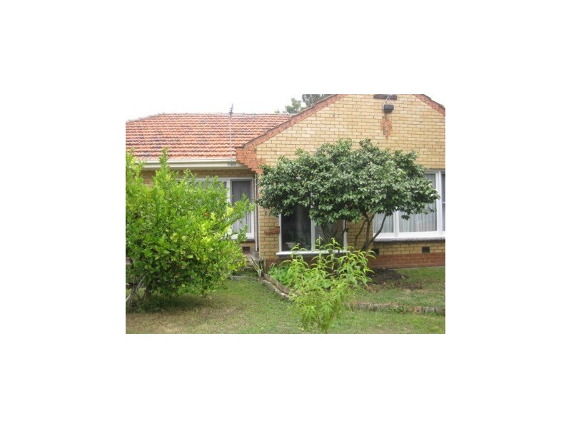 48 Edward Ave, Dandenong North VIC 3175