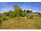 22 Photinia Street, Doveton VIC 3177