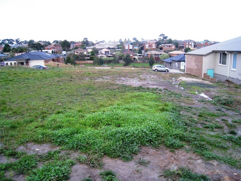 24 Bushlark Court, Berwick VIC 3806