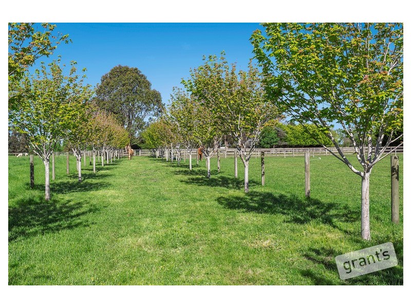 232 Eramosa Road West, Moorooduc VIC 3933