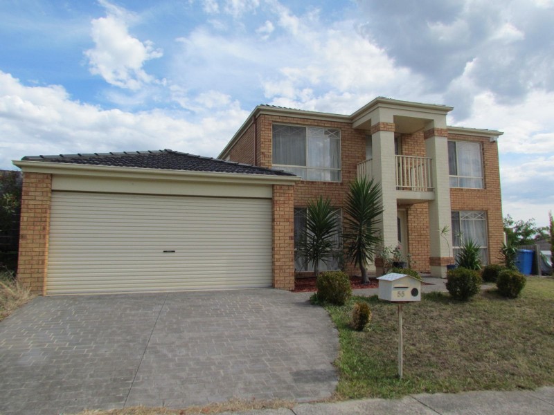 55 Wintersun Road, Berwick VIC 3806