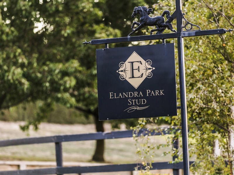 110 Murphys Road, Lang Lang East VIC 3984