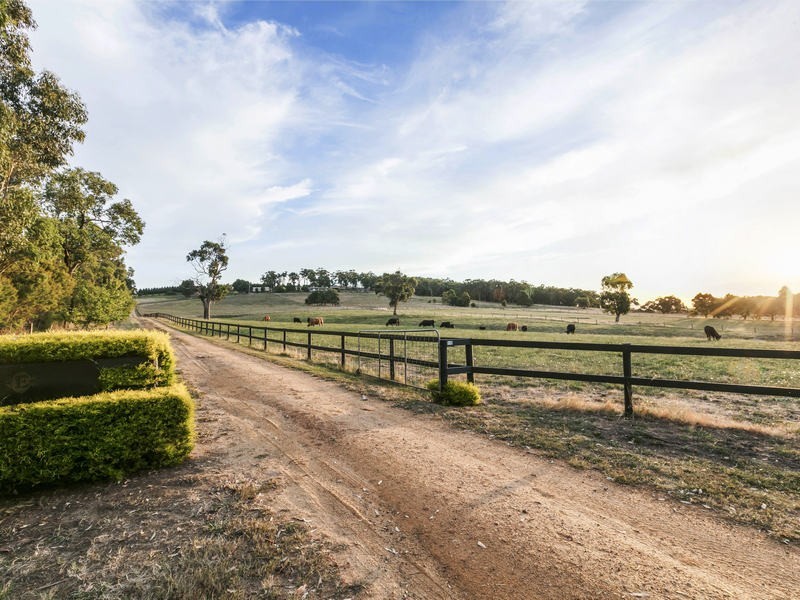 110 Murphys Road, Lang Lang East VIC 3984