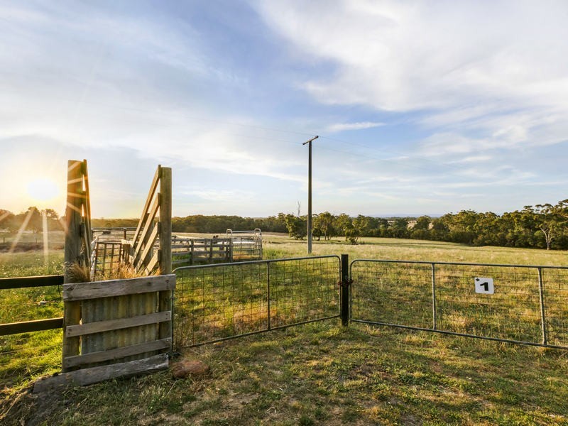 110 Murphys Road, Lang Lang East VIC 3984