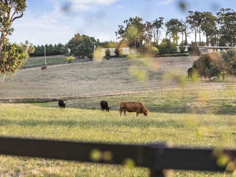 110 Murphys Road, Lang Lang East VIC 3984