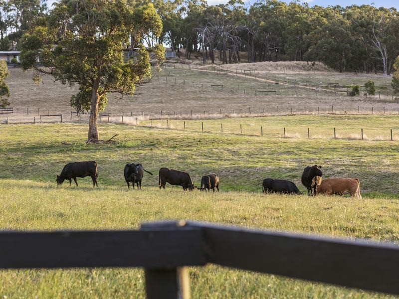 110 Murphys Road, Lang Lang East VIC 3984