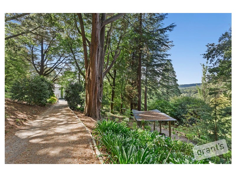 26 Morbey Road, Gembrook VIC 3783