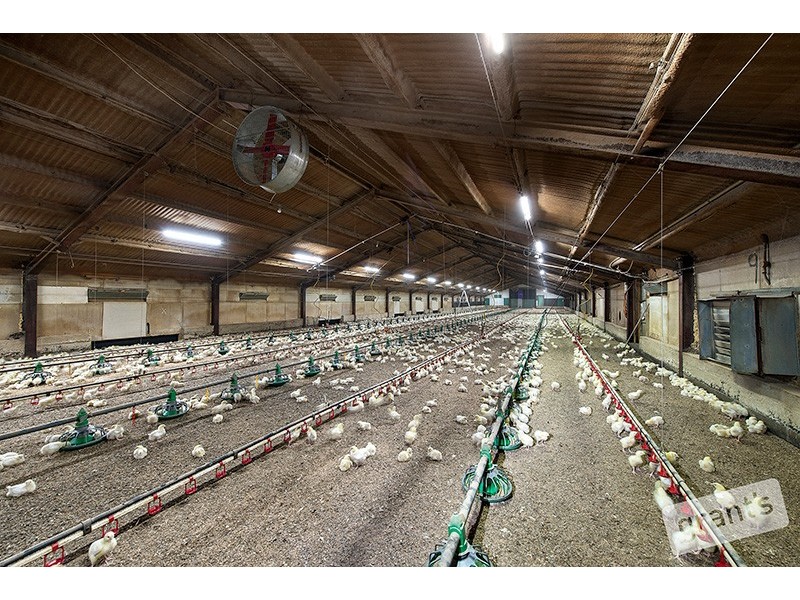 3590 Ballarto Road, Bayles VIC 3981