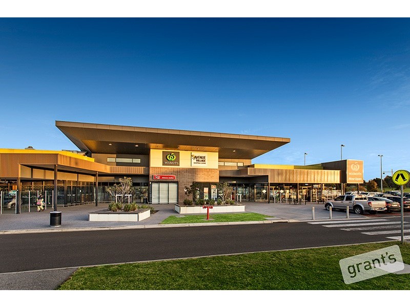 41 Renlik Circuit, Cranbourne North VIC 3977