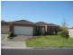 64 Hancock Drive, Berwick VIC 3806