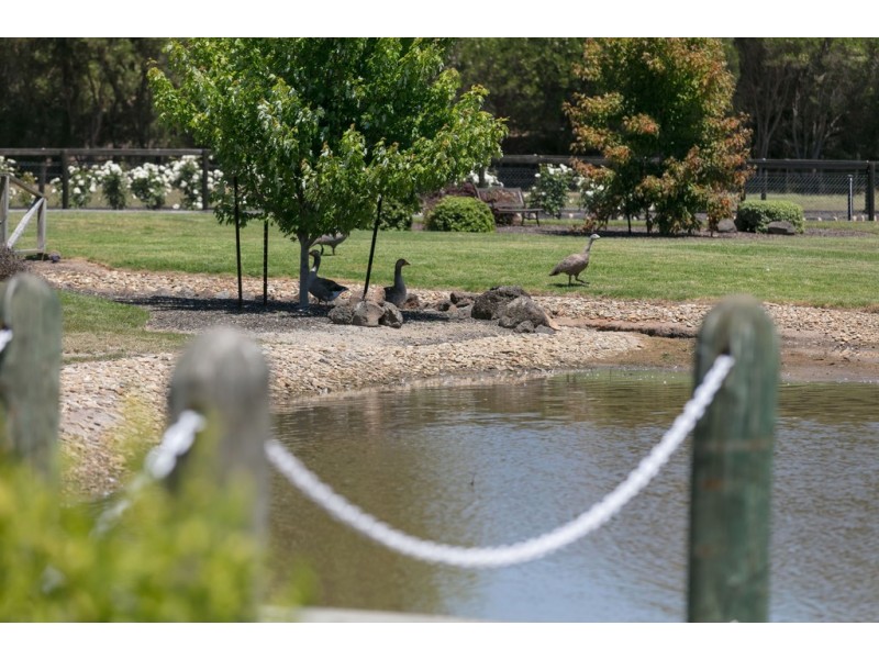 411 Coolart Road, Somerville VIC 3912