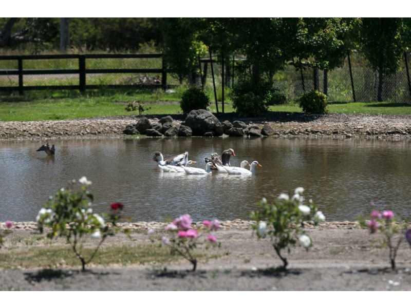 411 Coolart Road, Somerville VIC 3912