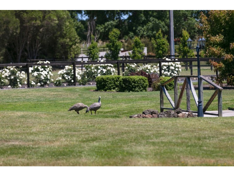 411 Coolart Road, Somerville VIC 3912