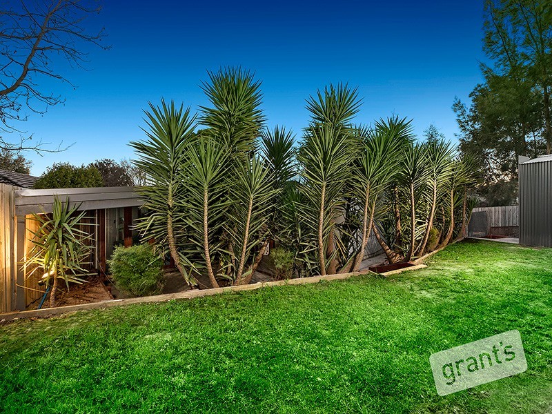 41 Cheviot Avenue, Berwick VIC 3806